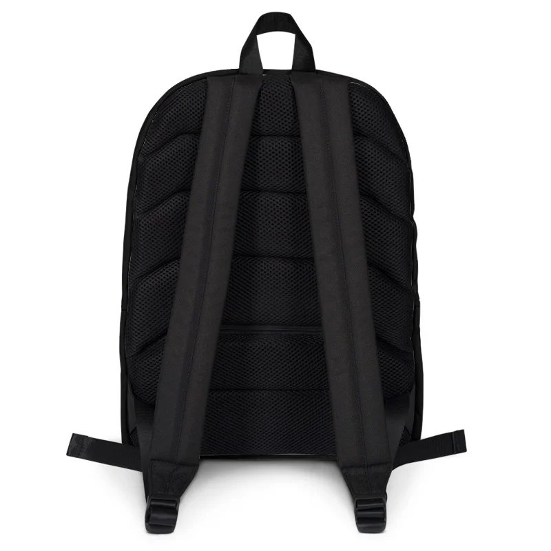 all back backpack.jpg