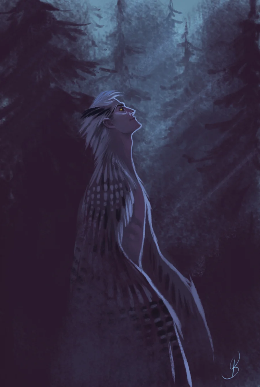 owlnight.jpg