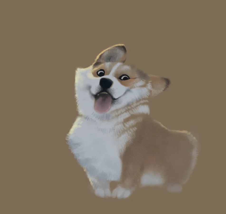 web_corgi.jpg