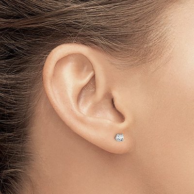 LAB-STUDS-MODELS.jpg