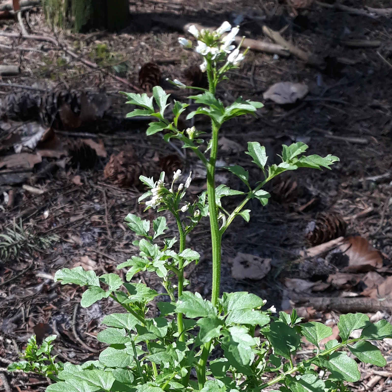 20190416_114137.jpg