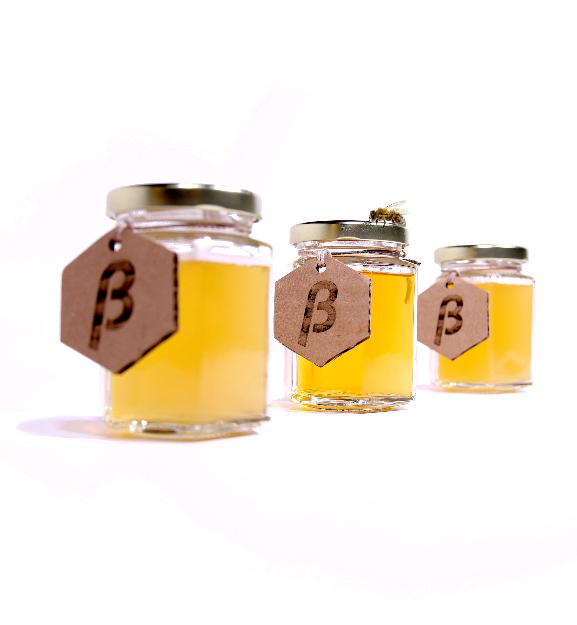 beta_beer.png