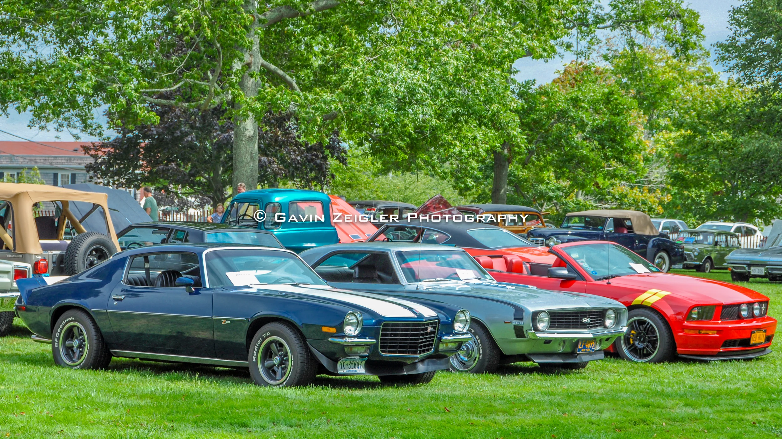 DSC_0006_22951.jpg