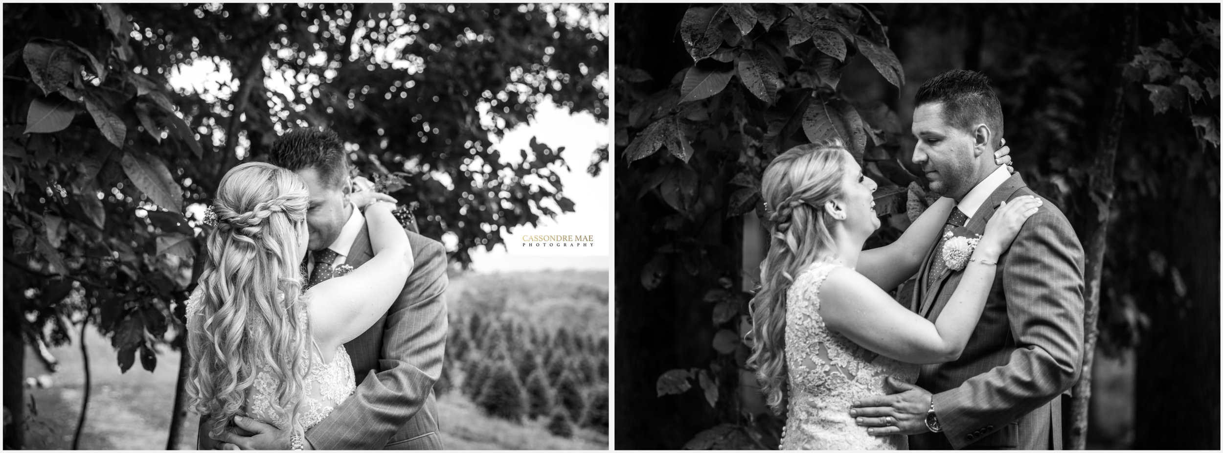 Cassondre Mae Photography Emmerich Tree Farm Wedding 21.jpg