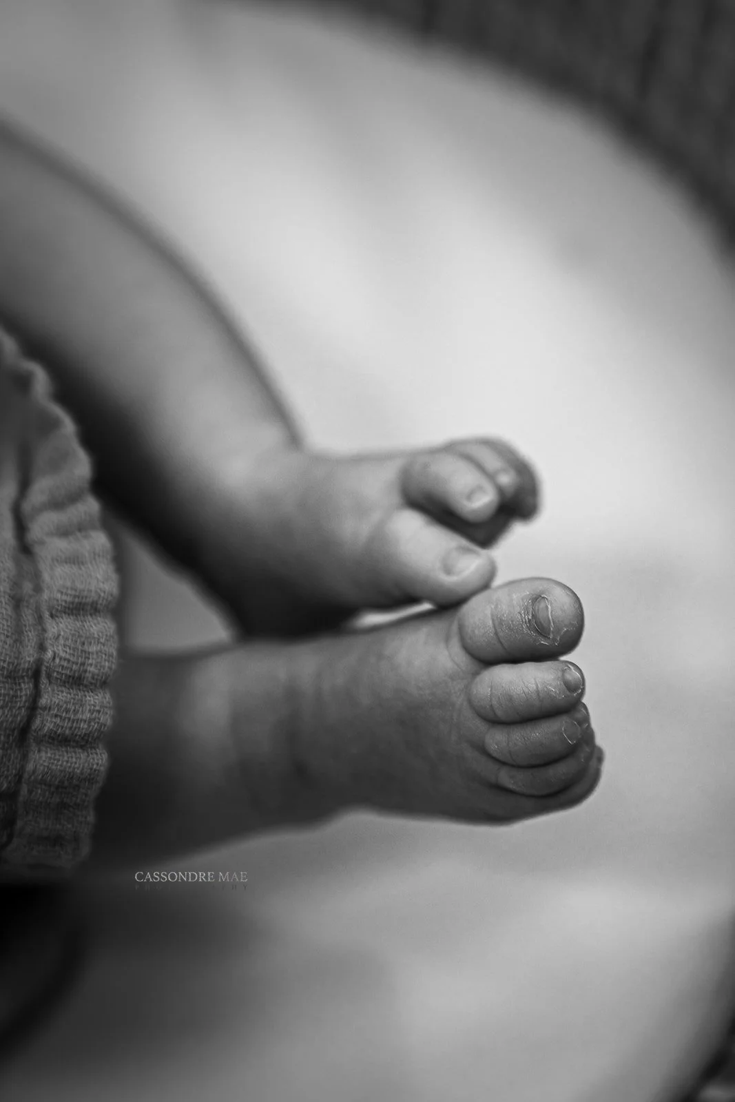 ©Cassondre Mae Photography - Newborn -64.jpg