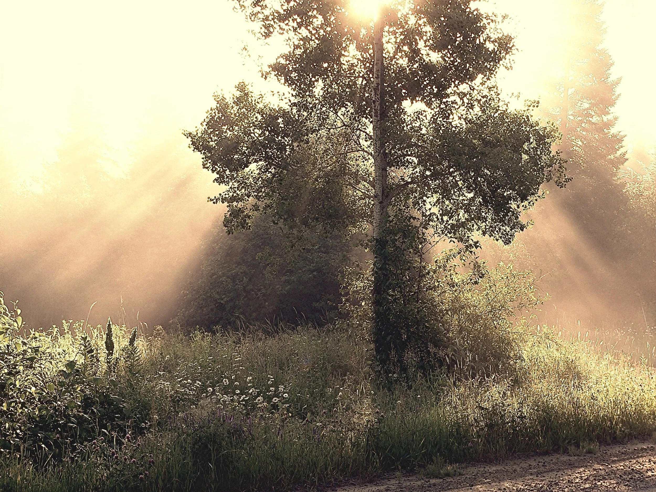 From Despair to Love