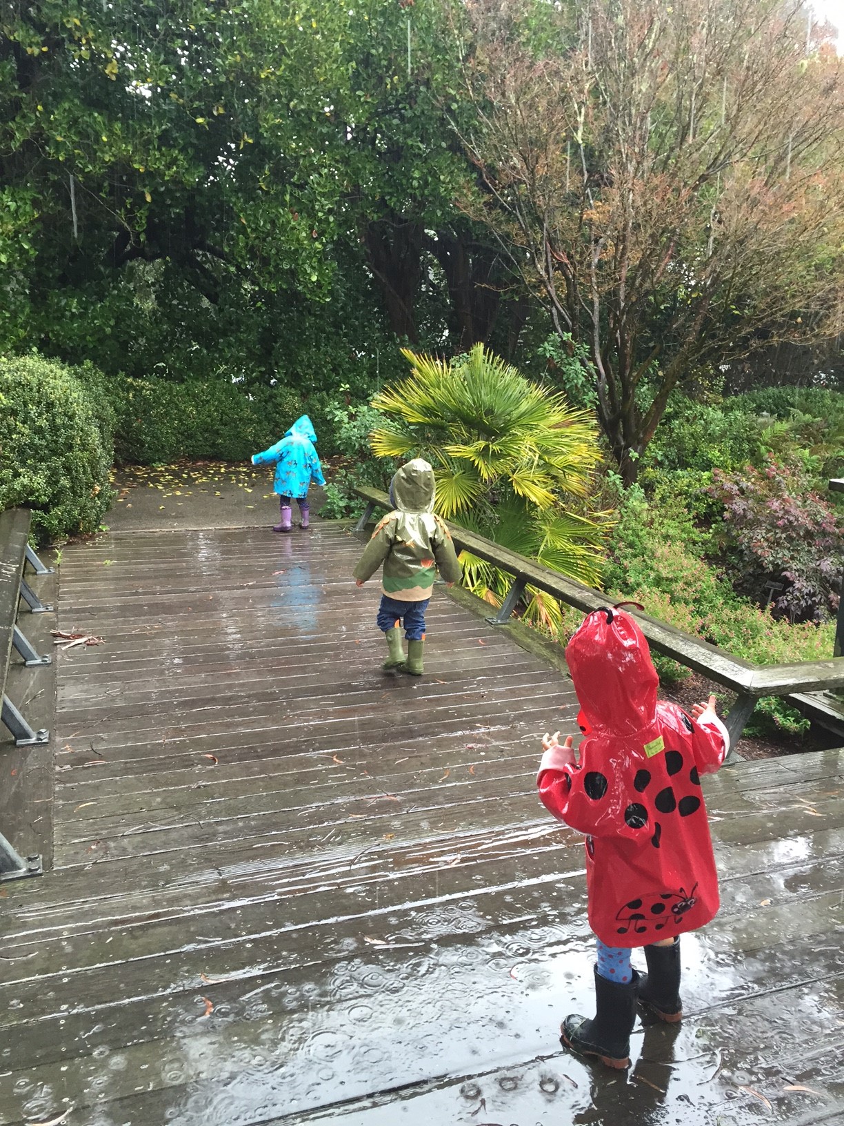 Rainy Explorers.JPG