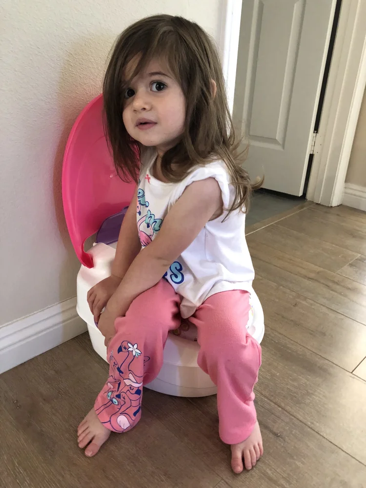 Potty Training 101 — Early Childhood Matters