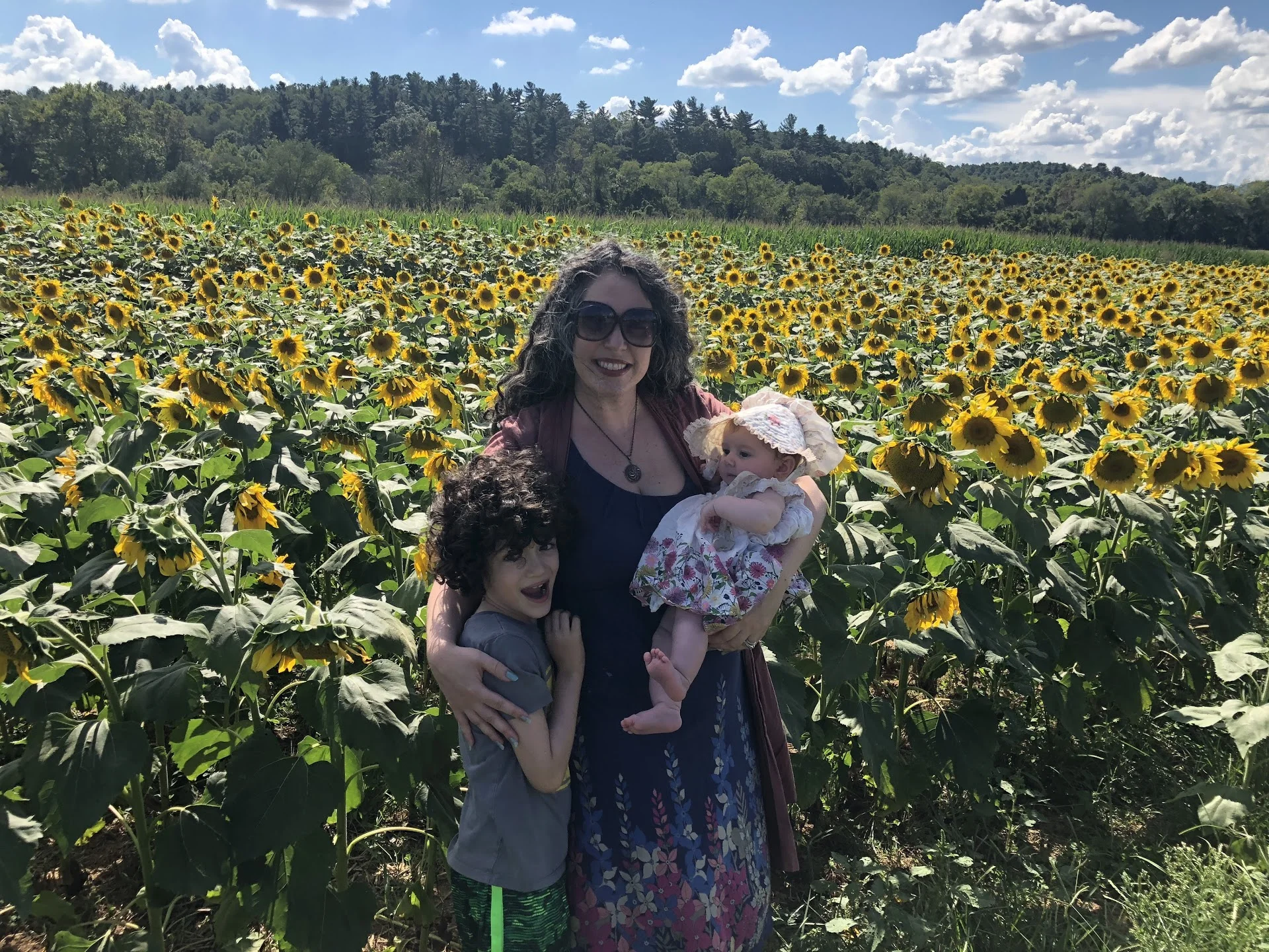 sunflowers2018.jpg