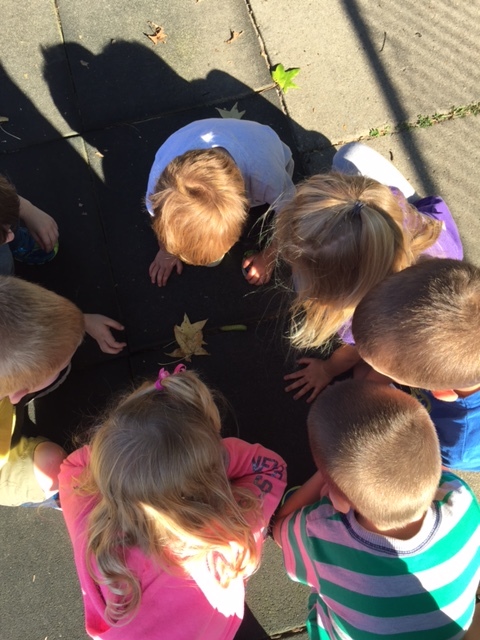 Looking at a caterpillar we found on the ground!