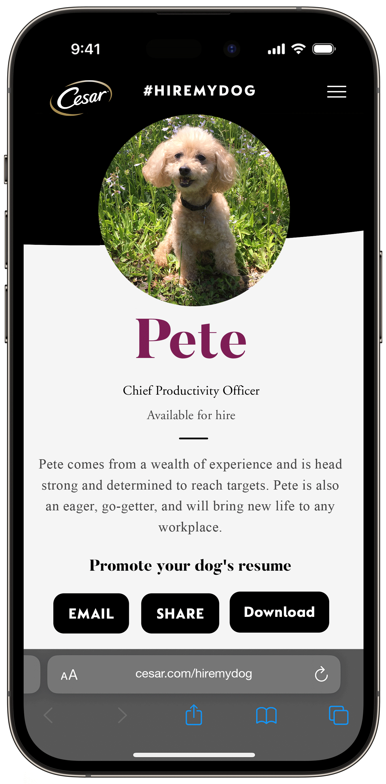 Resume Builder Results