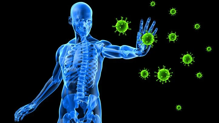 immune.jpeg