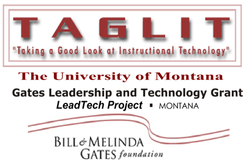 TAGLIT+Gate+Foundation.png
