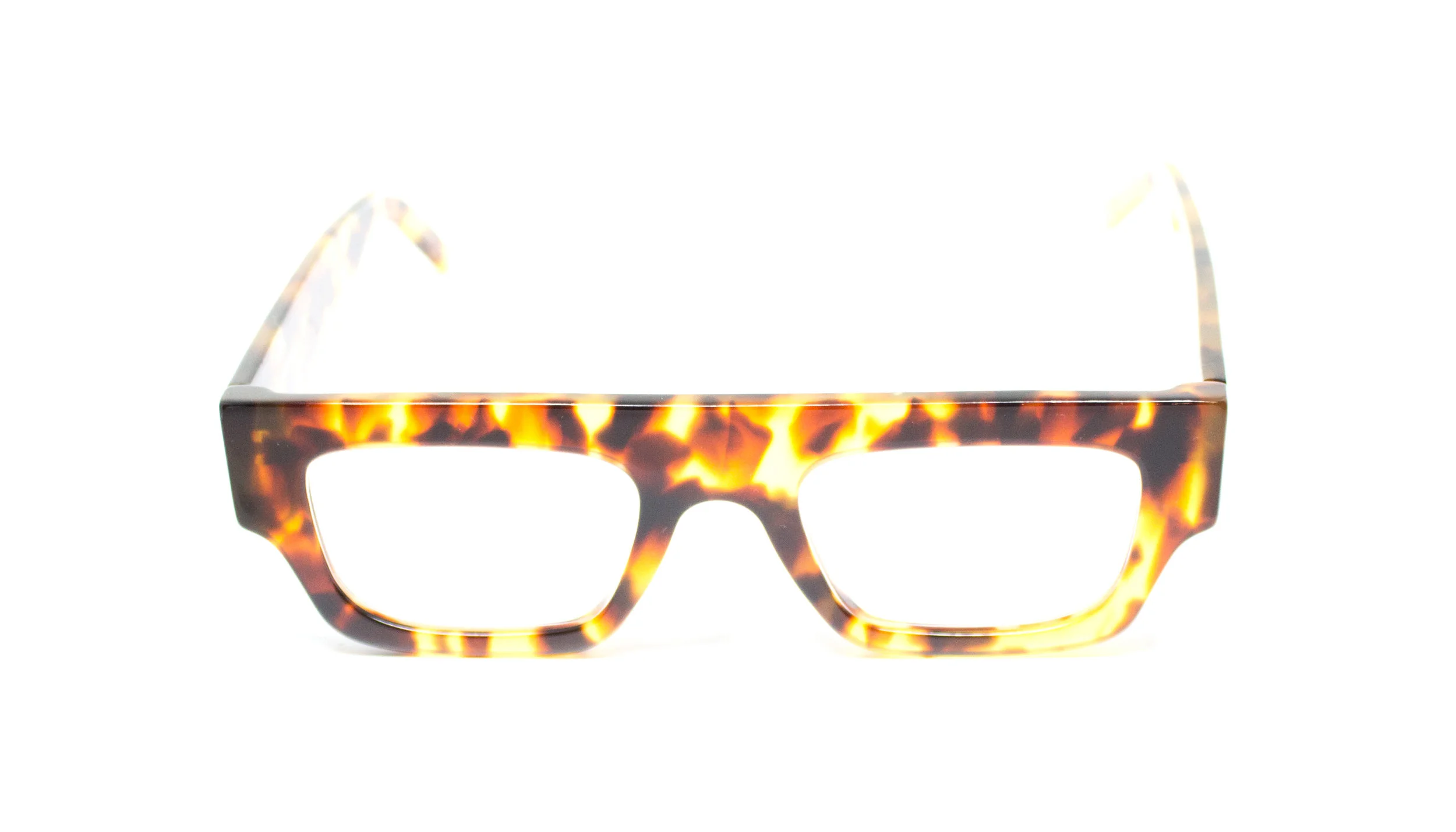 TORTOISE_LENS_360.jpg