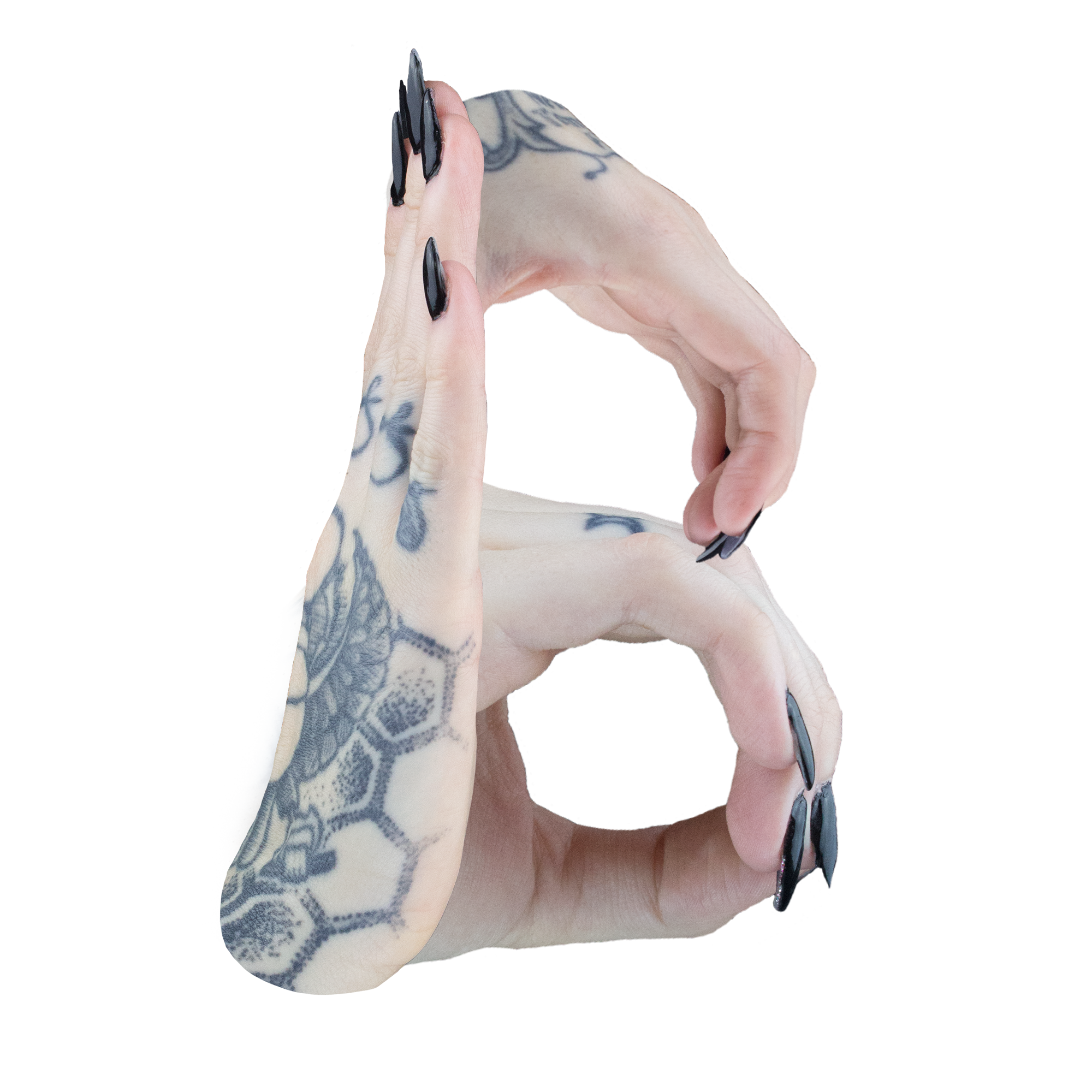 2_B.png
