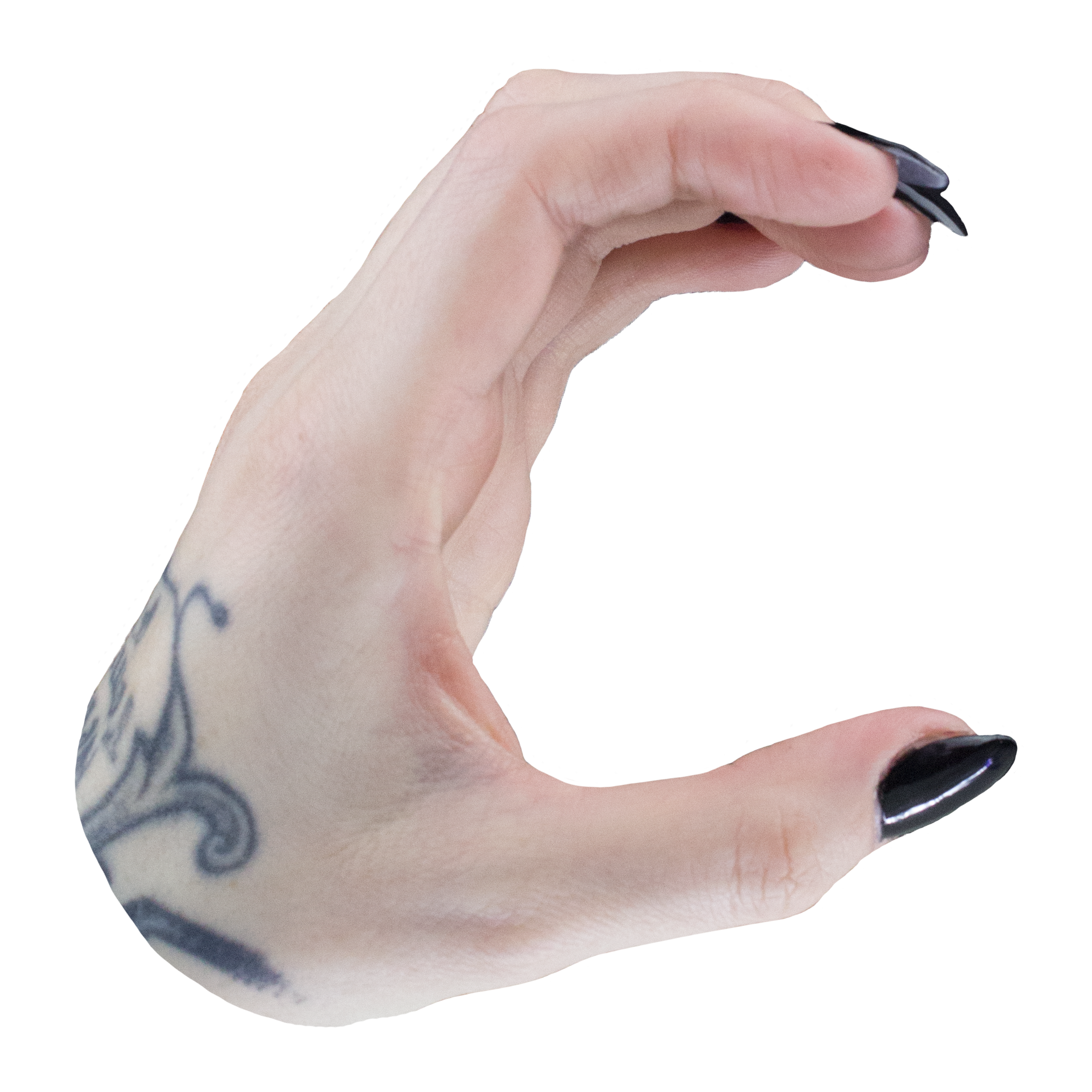 3_C.png