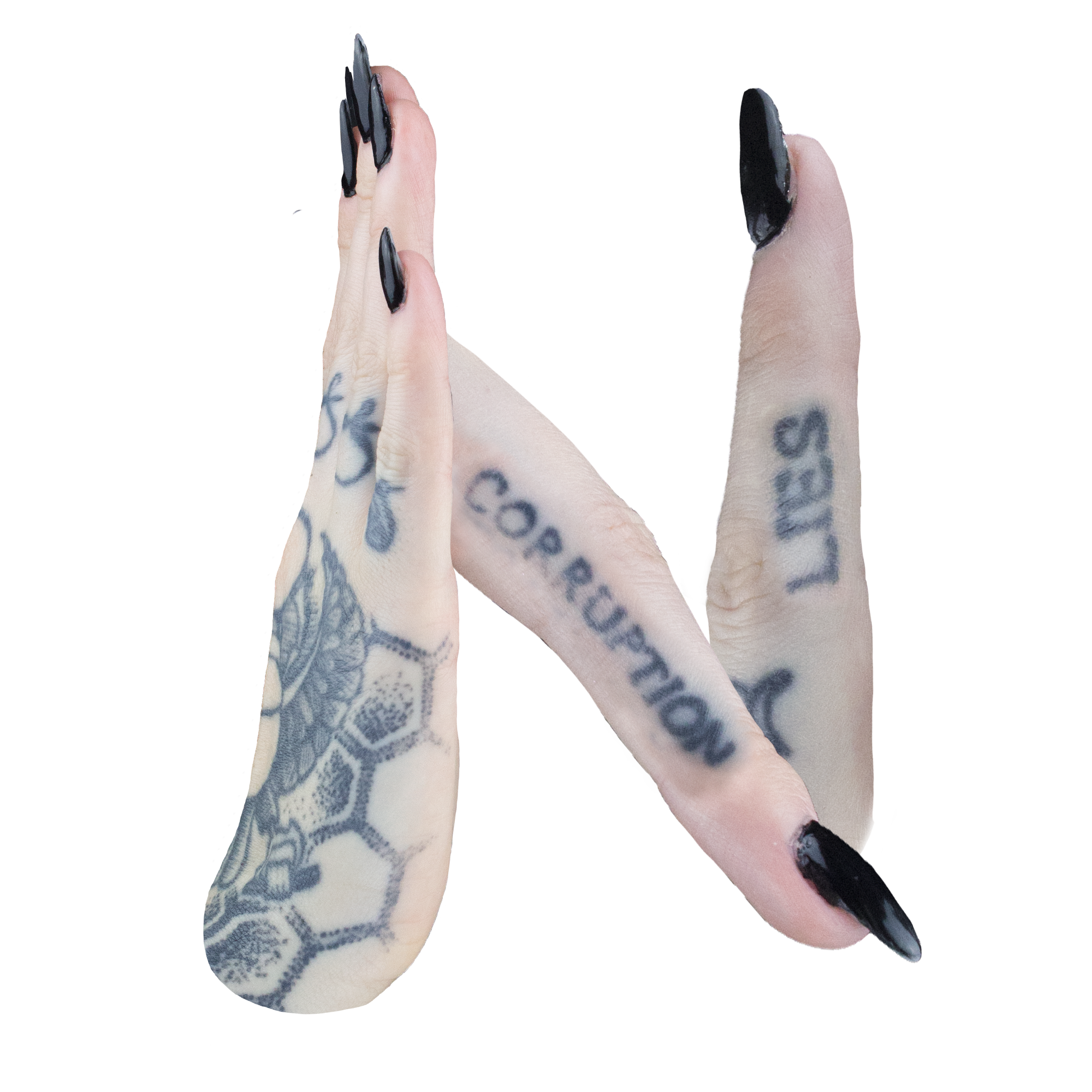 14_N.png