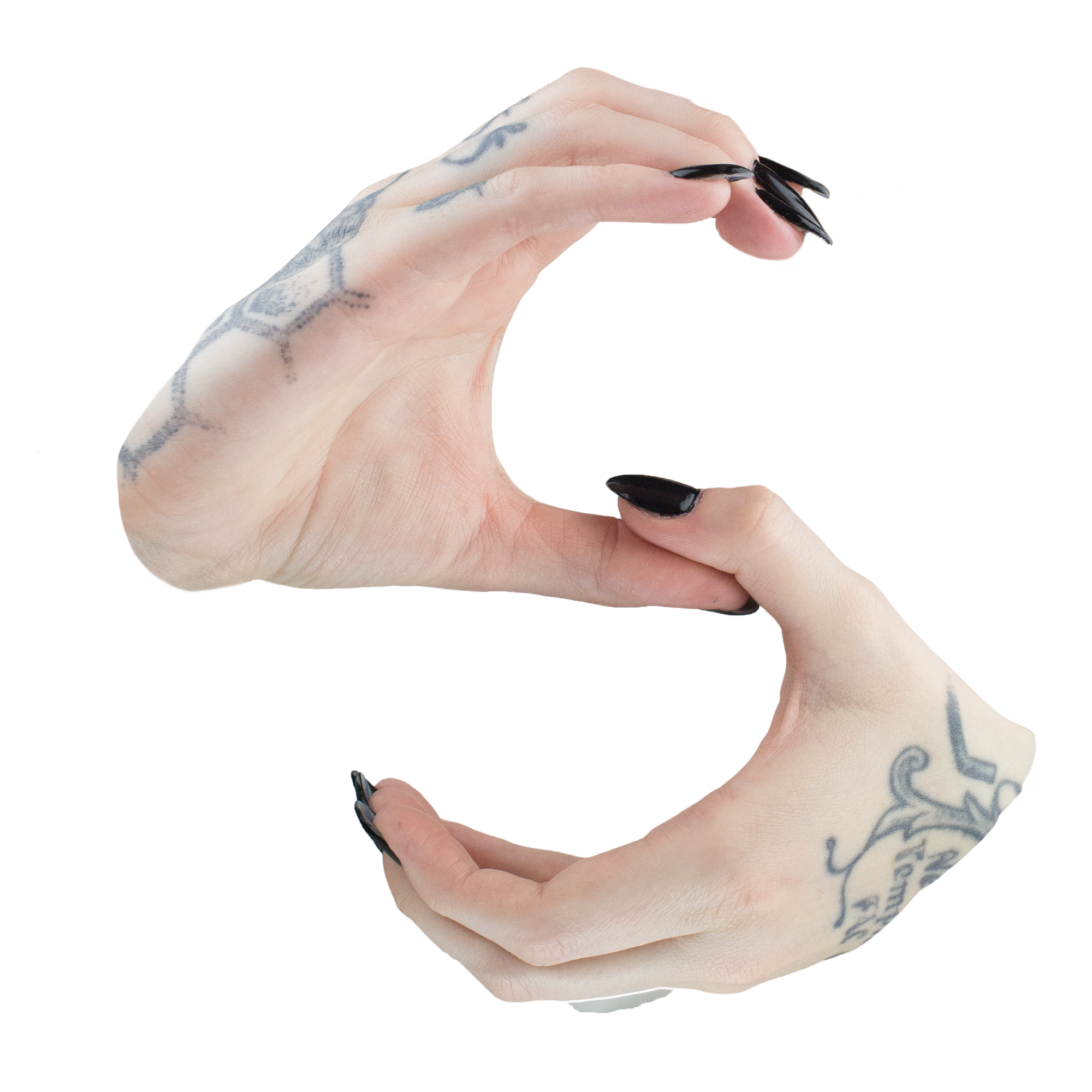 19_S.png