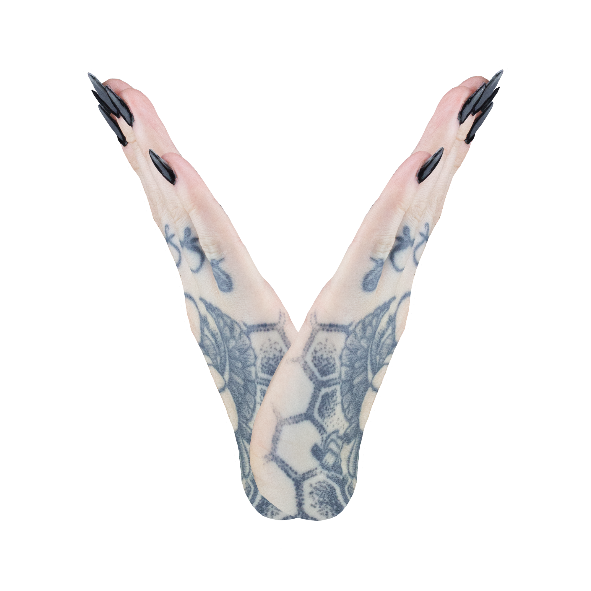 22_V.png