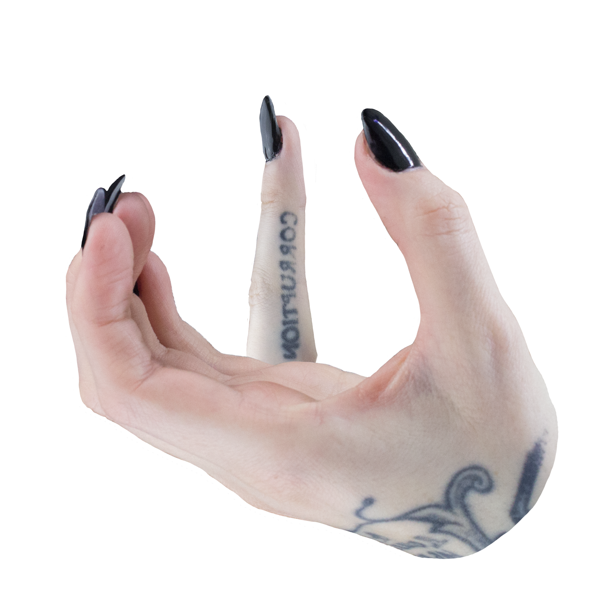 23_W.png