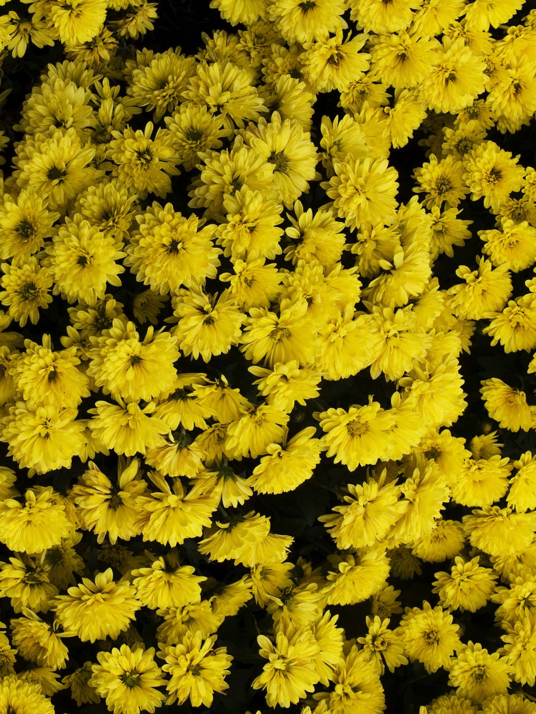 P1050972_4 copy.jpg