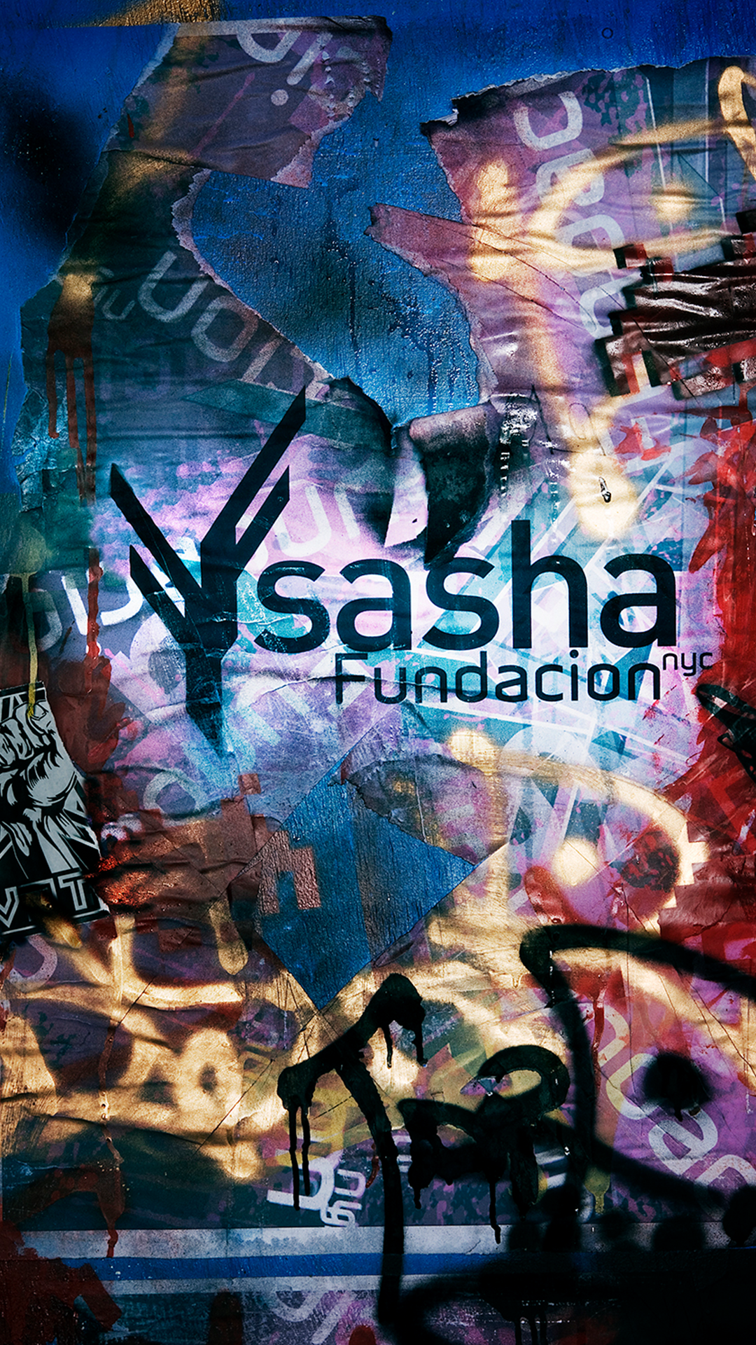 Sasha Fundacion