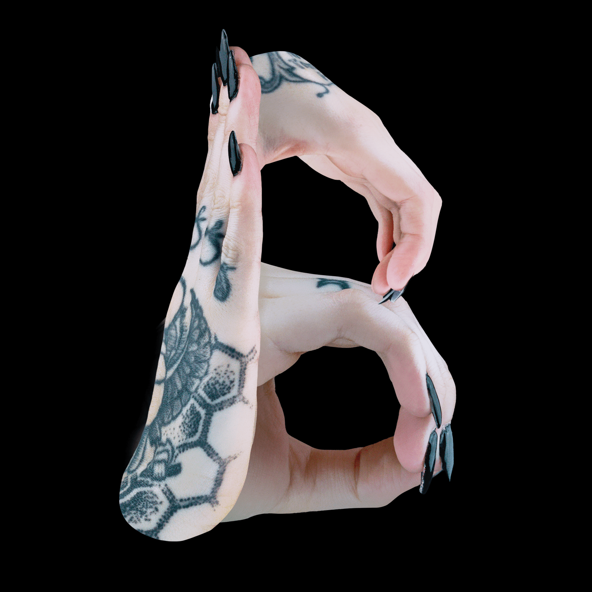 2_B_0001_Black-min.png