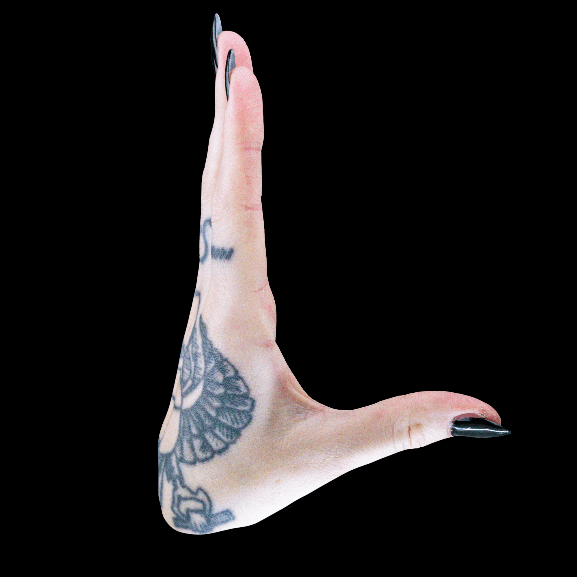 12_L_0002_Black-min.png