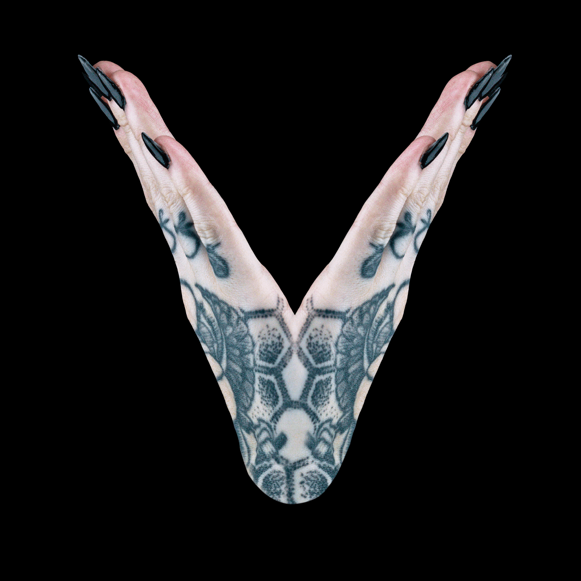 22_V_0002_Black-min.png