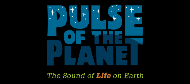 Pulse of the Planet