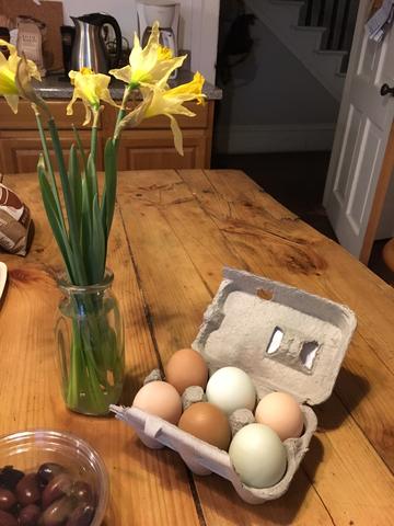 Look how beautiful these organic eggs are ~ I've never seen naturally green, blue and pink ones before!
