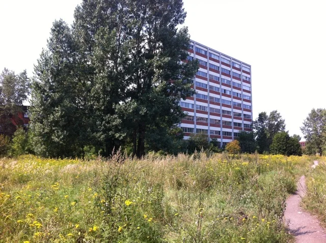 lechamp.jpg