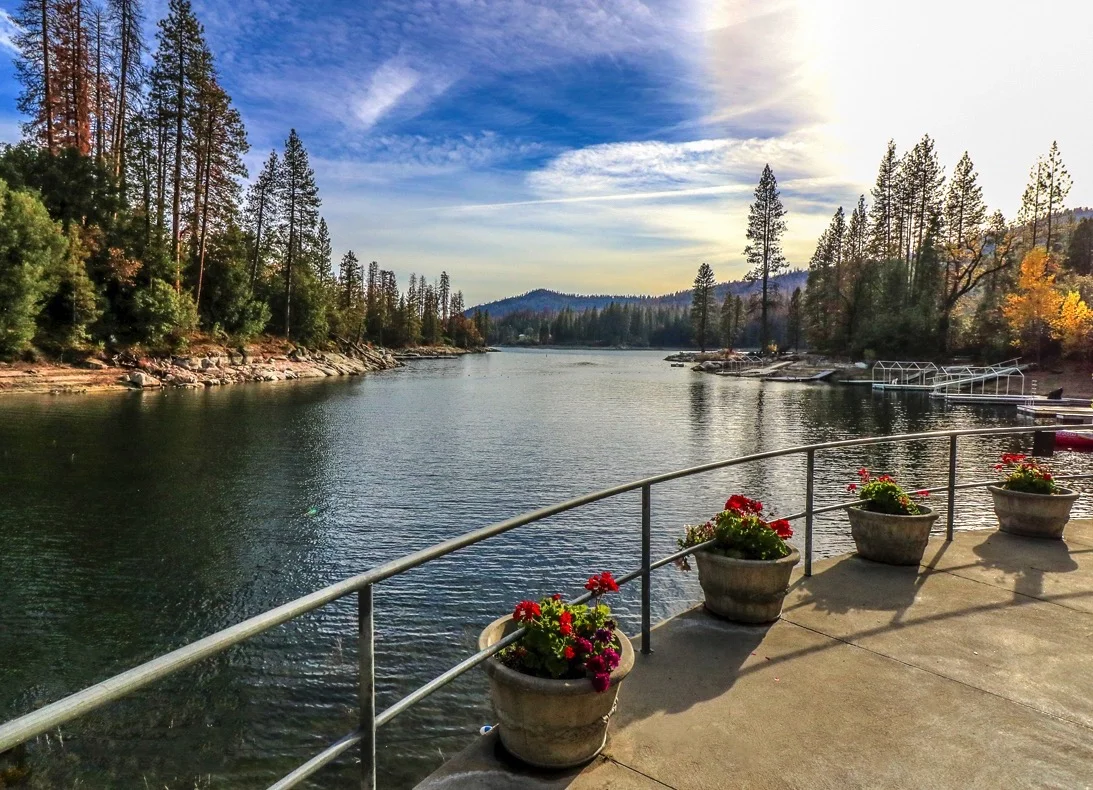 SVHR bass lake garden.jpg