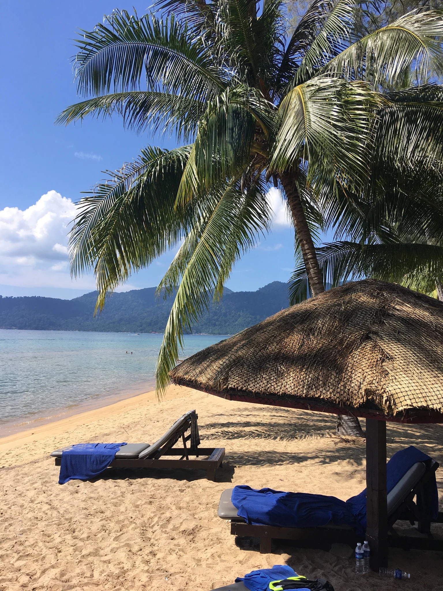 Another Travel Day...