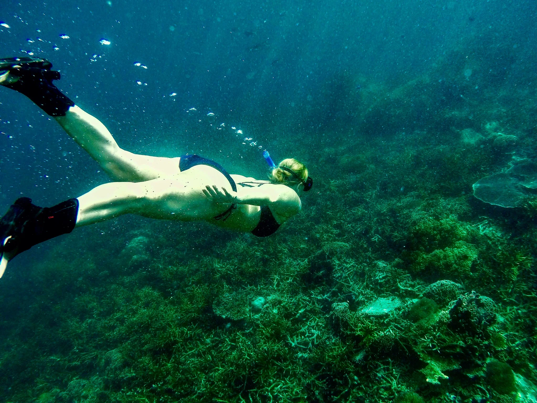 To Travel is to Live