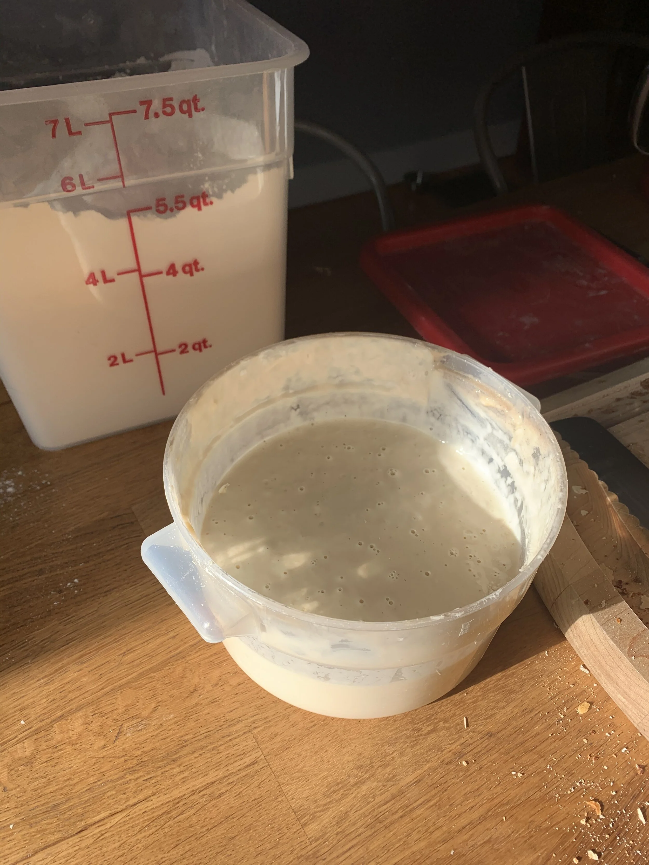 Sourdough Starter - Day #2