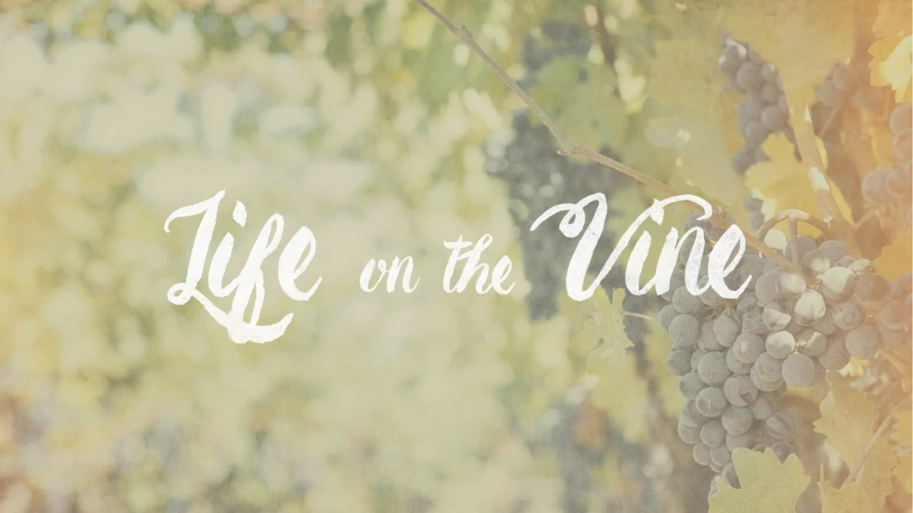 Bible Reading Plan Week of October 14th