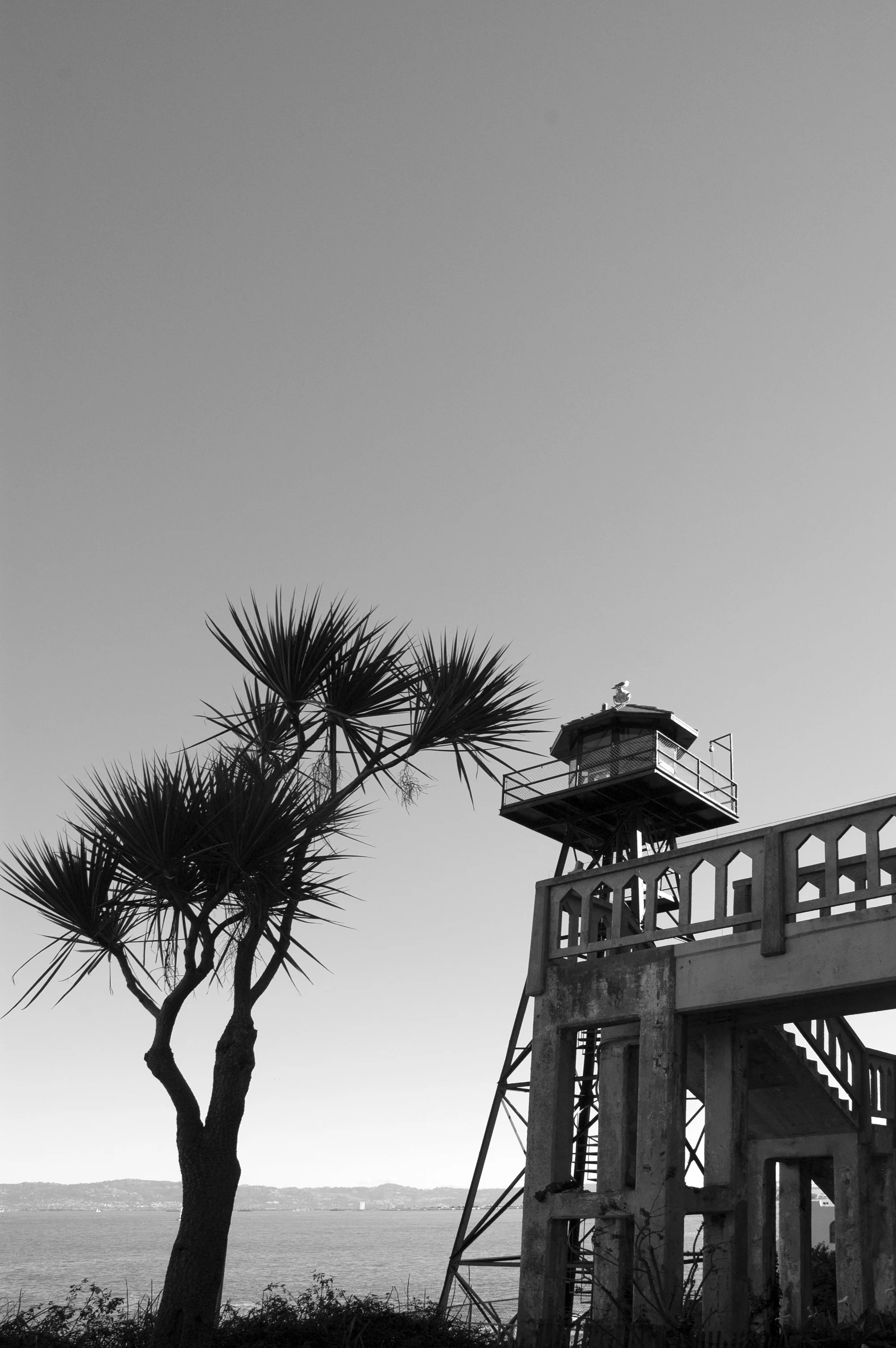 alcatraz.jpg