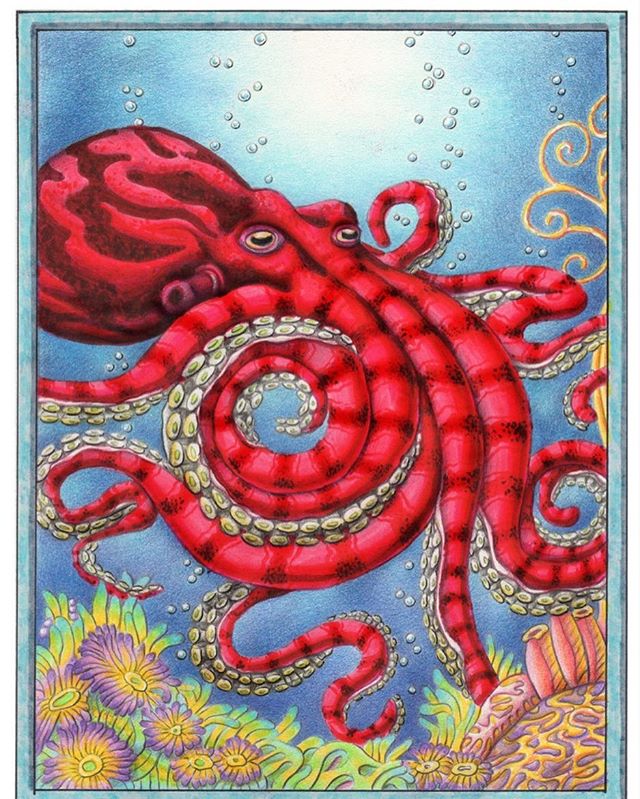 Going back to an ocean theme. My new original octopus is now framed and ready for sale. DM me for details if interested. Might make a cool coloring page? I&rsquo;ll be @portlandsaturdaymarket this Saturday 10:00am - 5:00pm Booth 804!
#octopus #octopu
