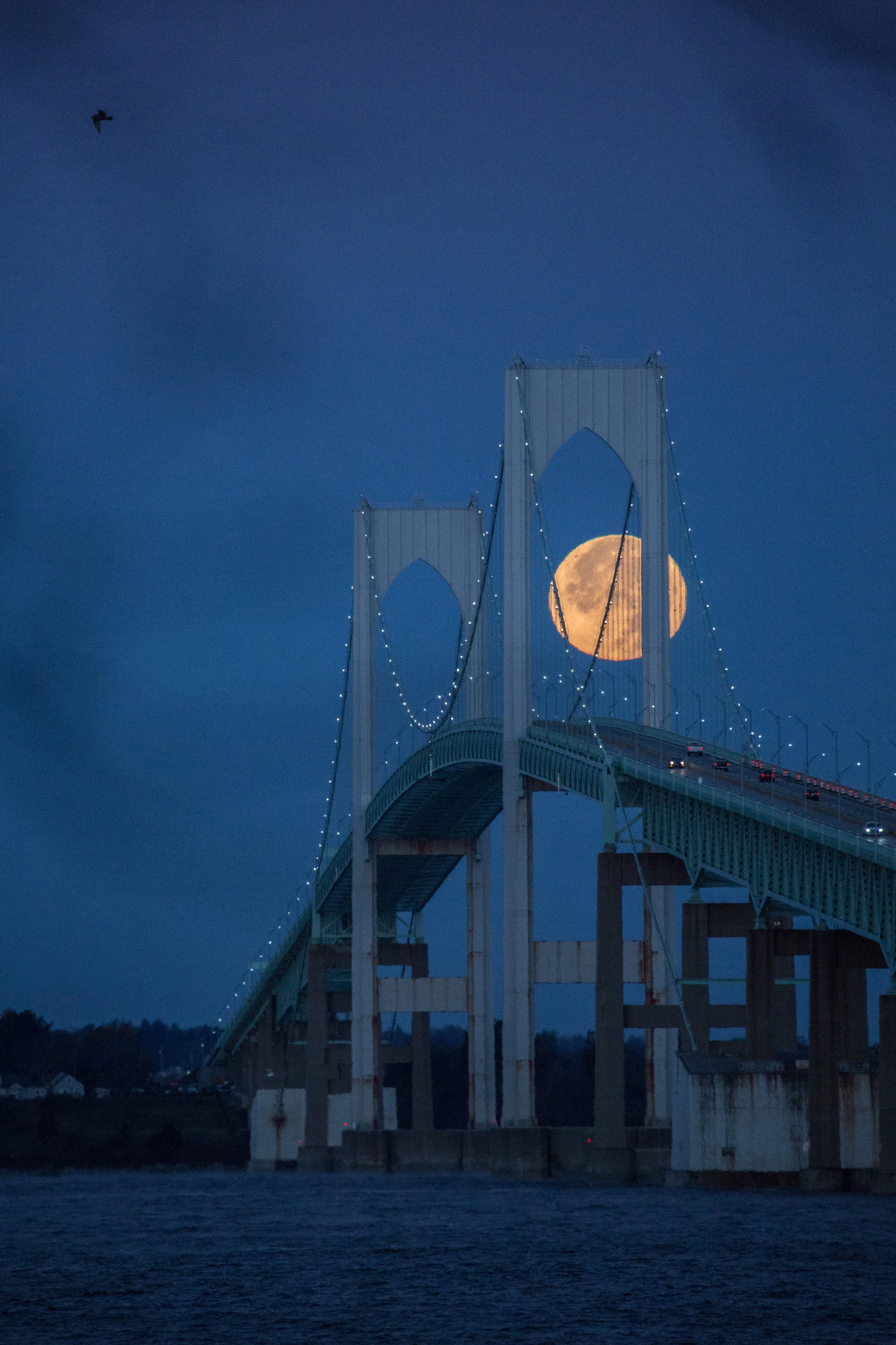 beaver moon