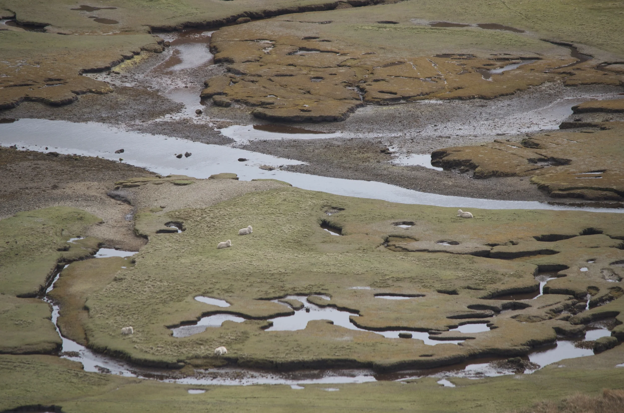 Shetland Isles
