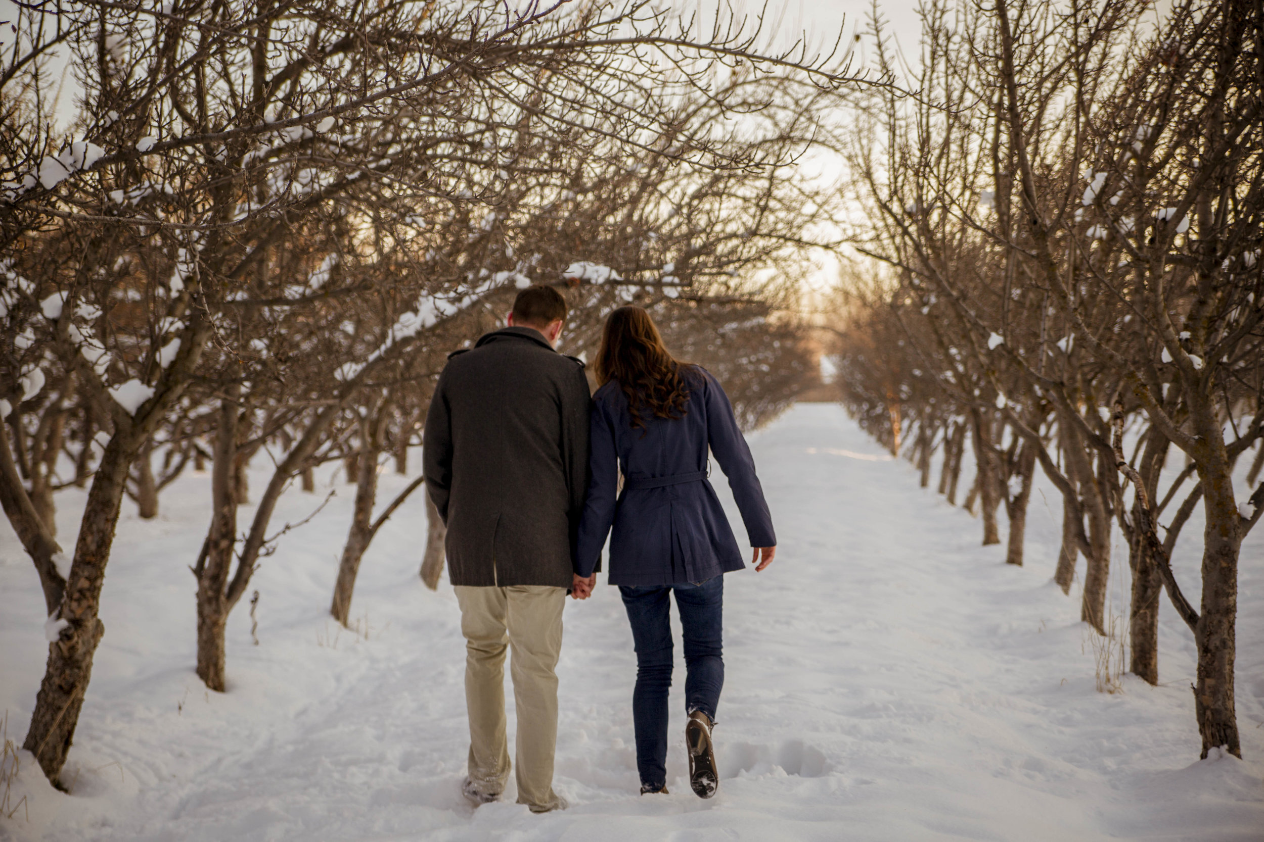 TaraWilcoxPhoto (45 of 60).jpg