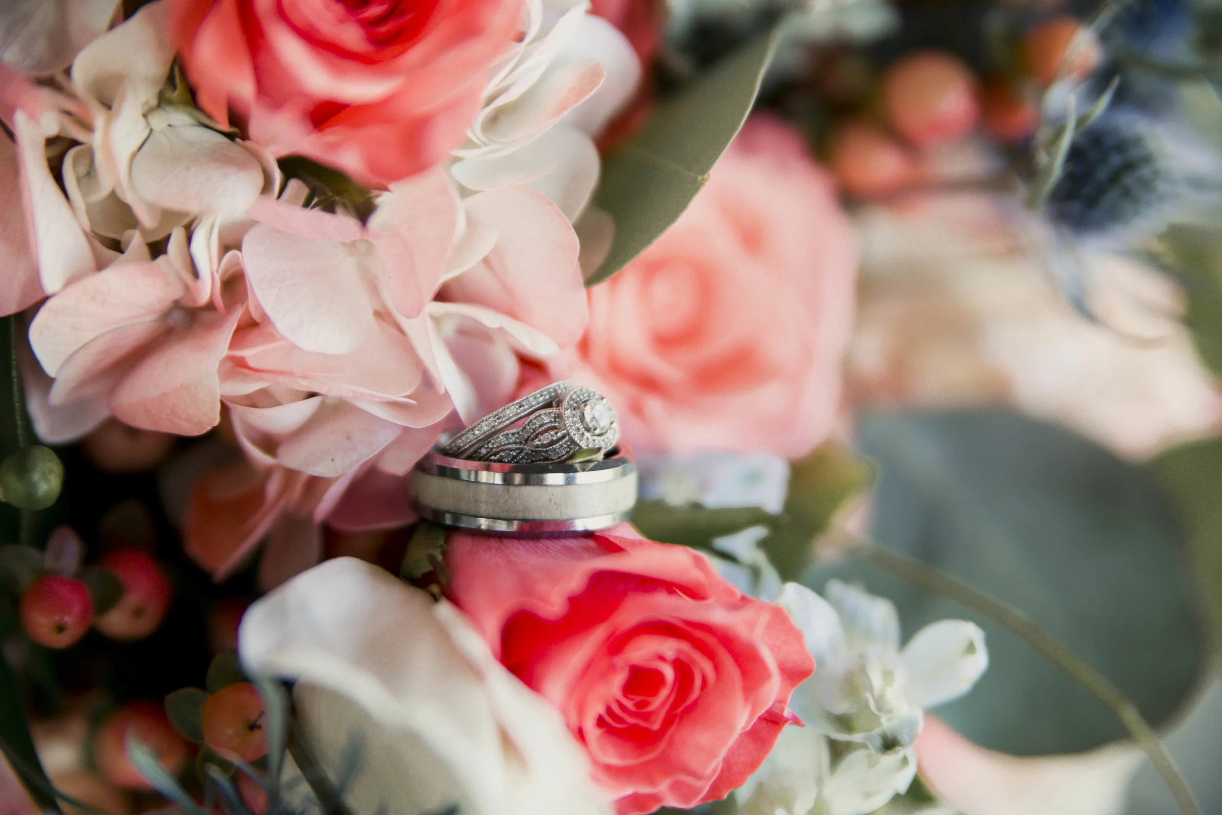 Morgan  (5 of 5).jpg