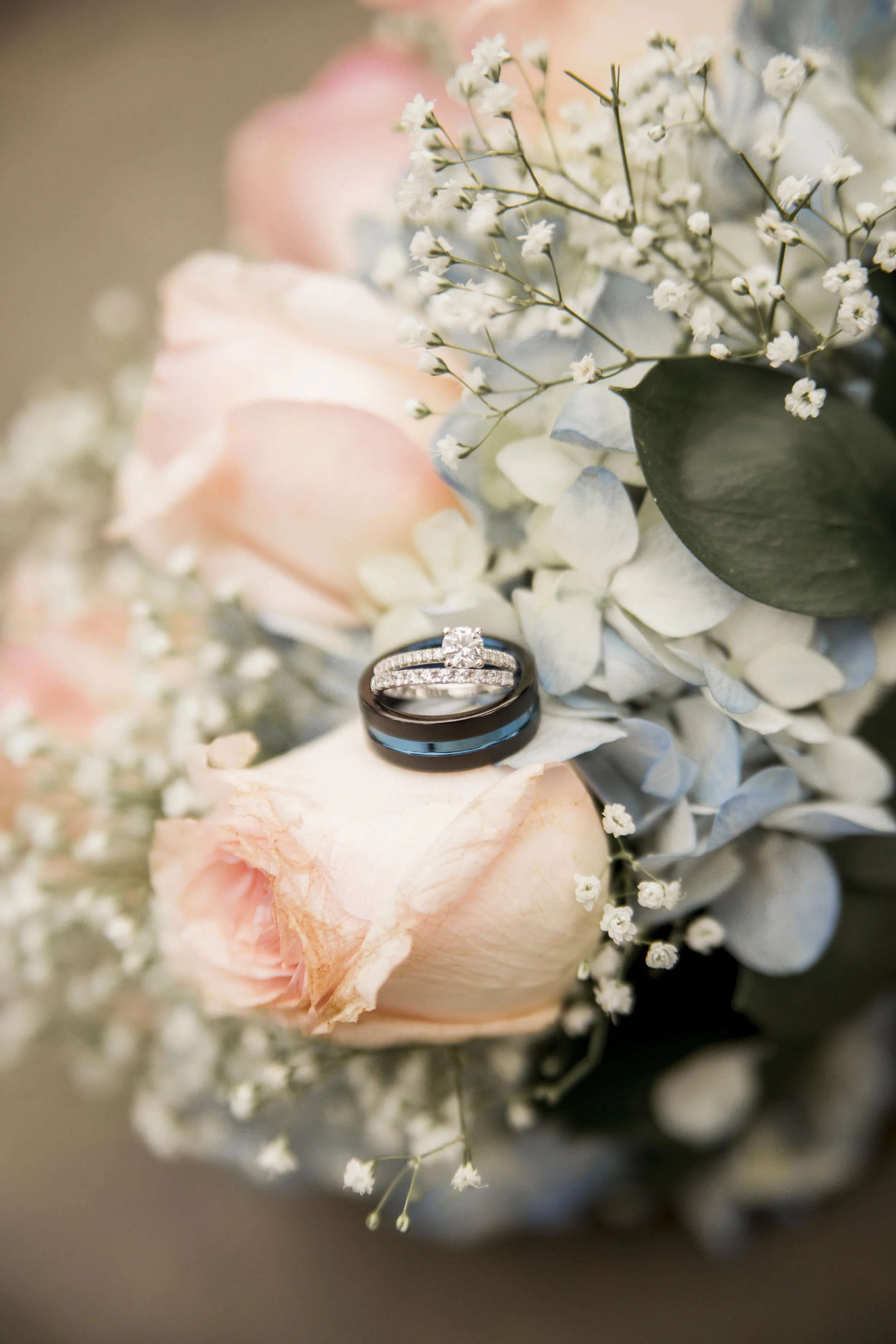 Tara Wilcox Photo (39 of 40).jpg