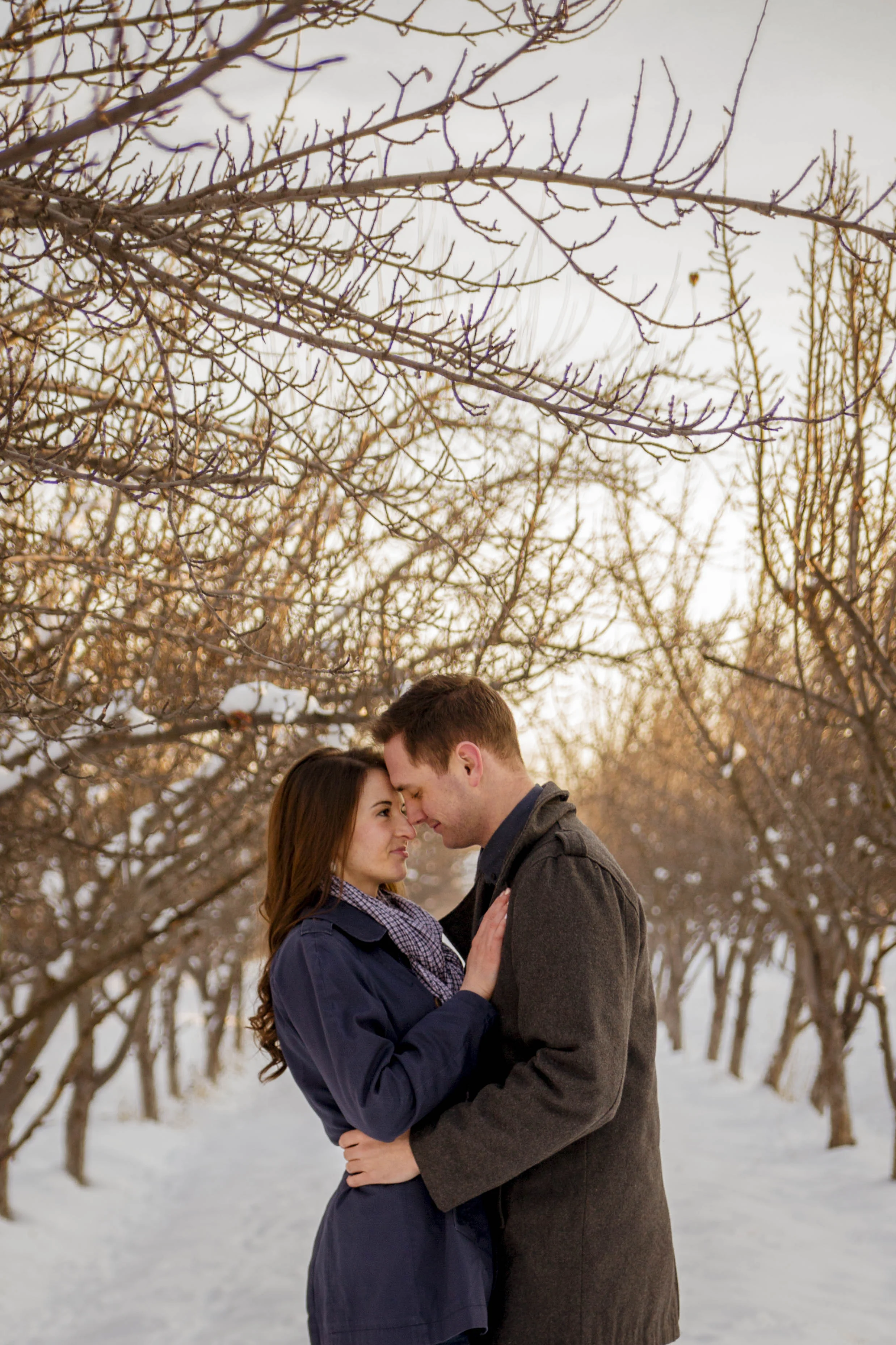 TaraWilcoxPhoto (31 of 60).jpg