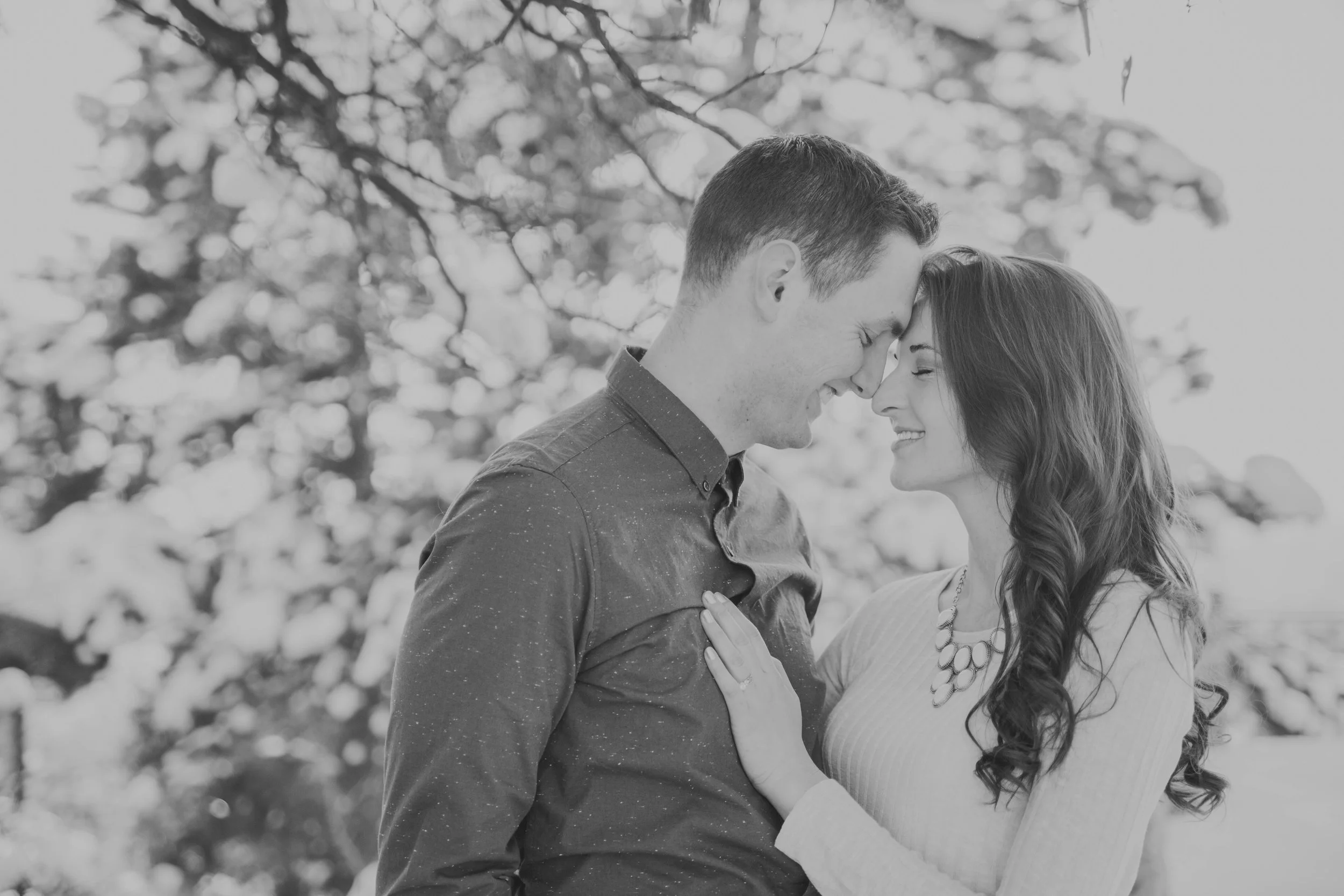 TaraWilcoxPhoto (5 of 60).jpg