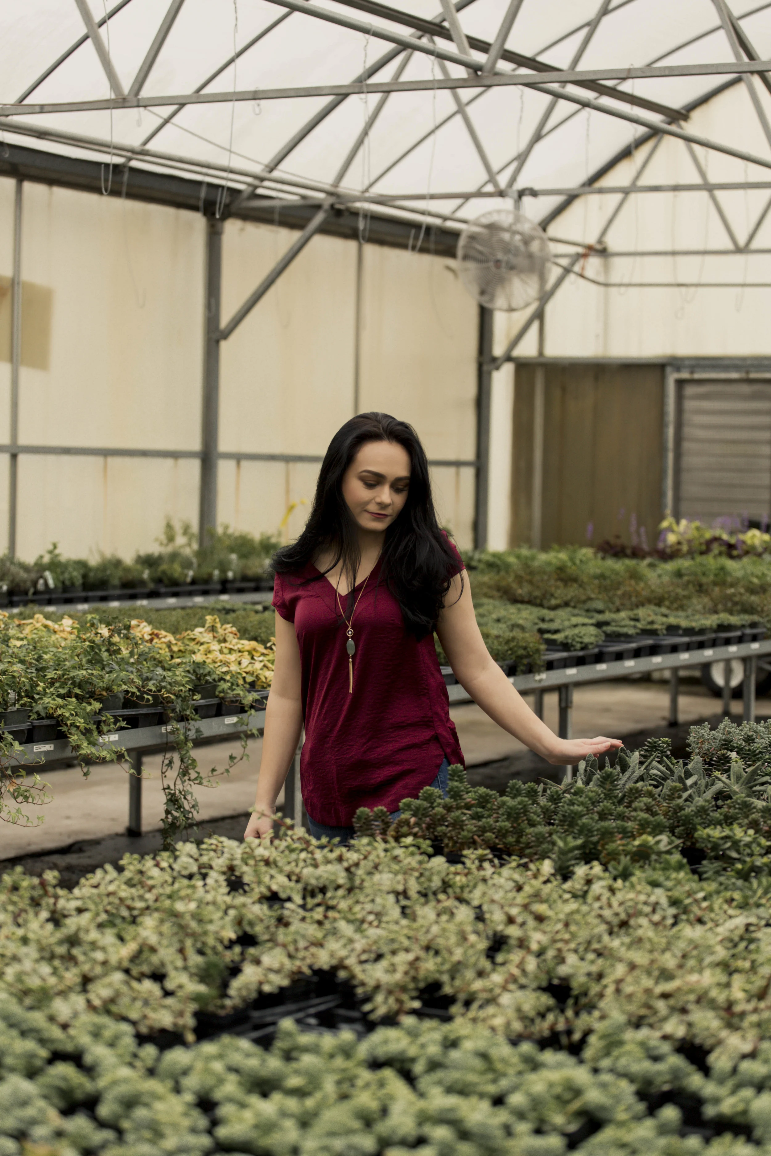 TaraWilcoxPhoto (19 of 52).jpg