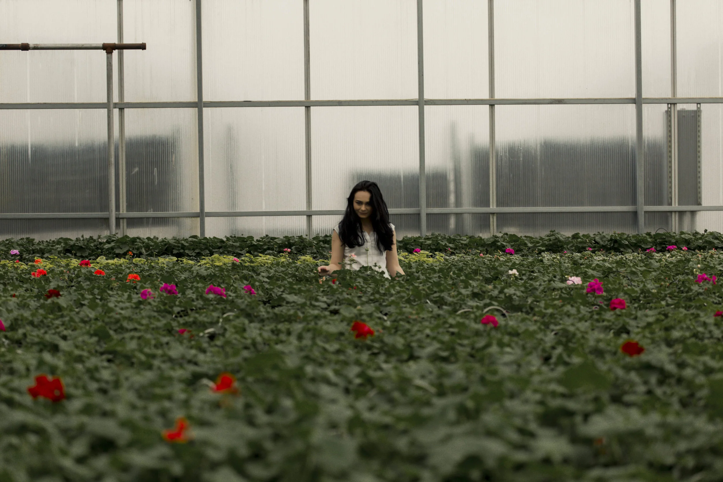 TaraWilcoxPhoto (34 of 52).jpg