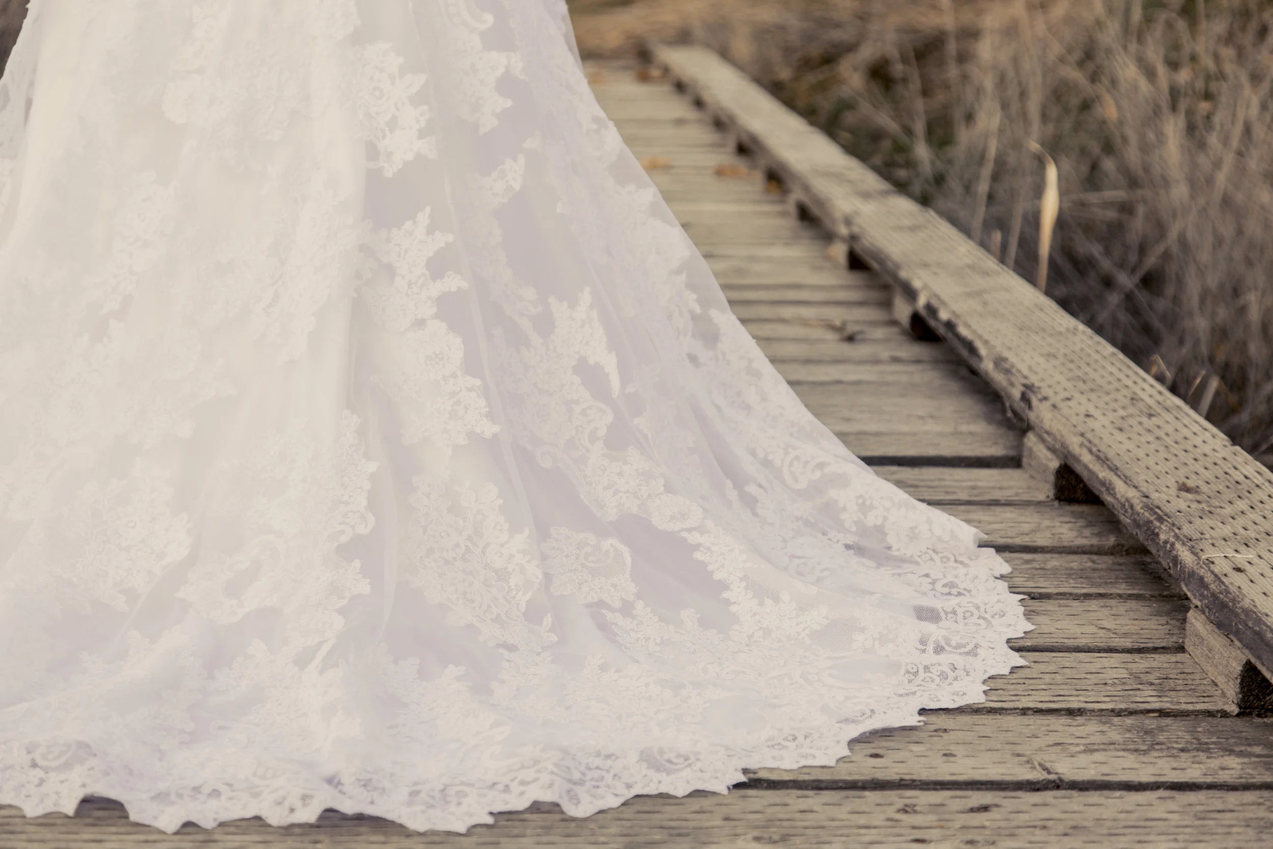 TaraWilcoxPhoto (441 of 818).jpg