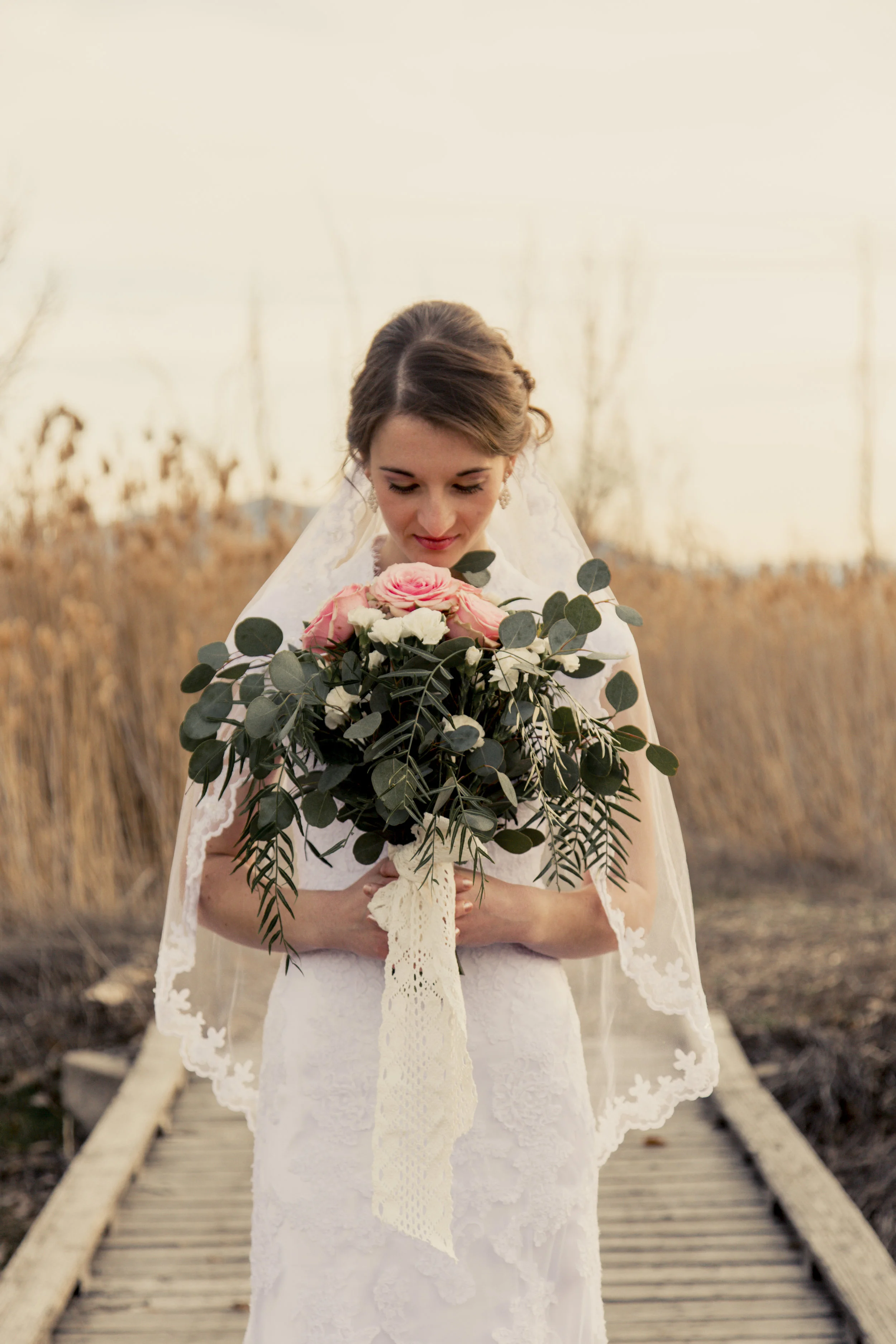 TaraWilcoxPhoto (452 of 818).jpg